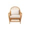 Bali & Pari Reina Bohemian Light Honey Rattan Arm Chair 246-13726-ZORO - alternate 10